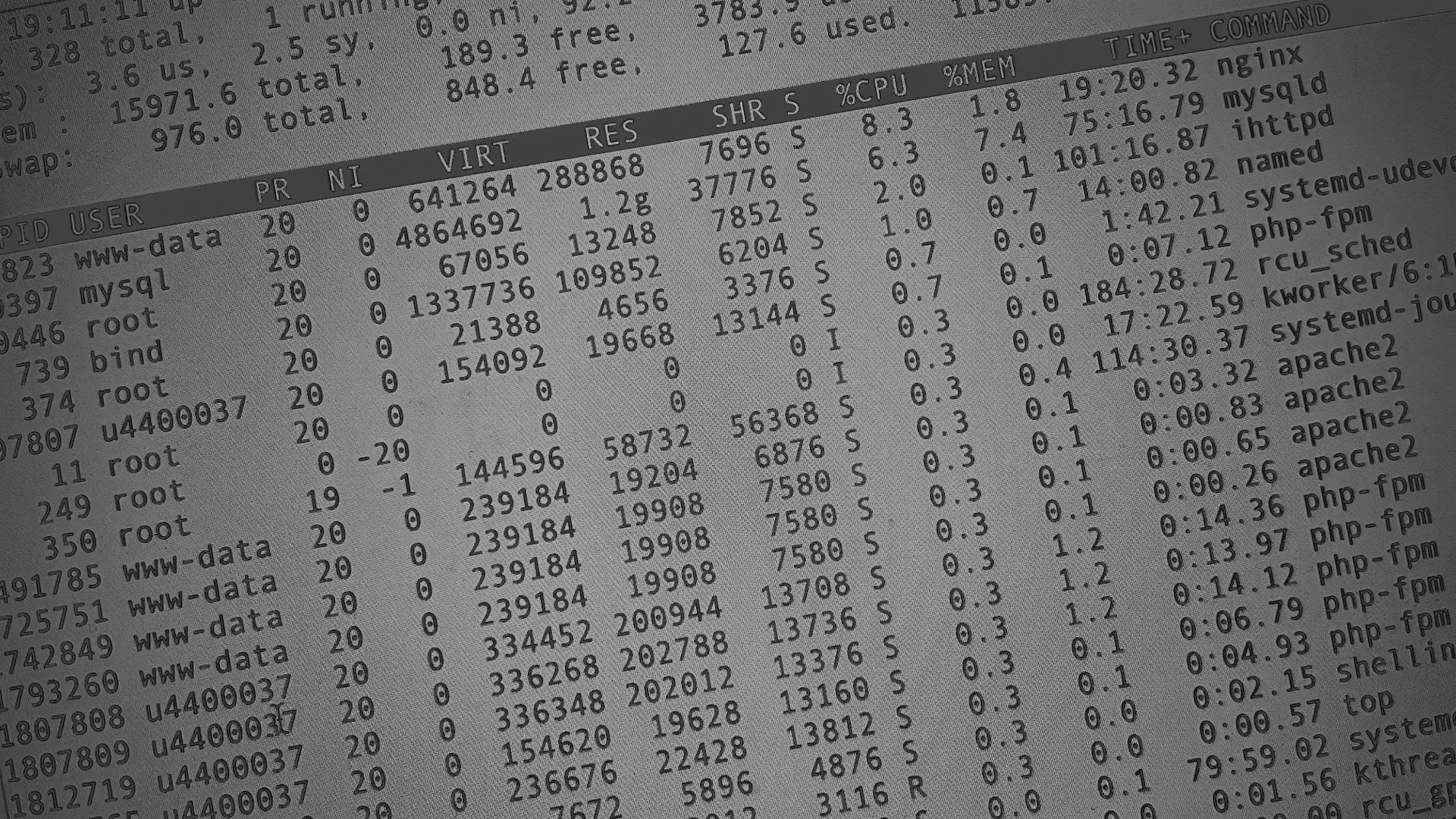 Настройка сервера в Инзе